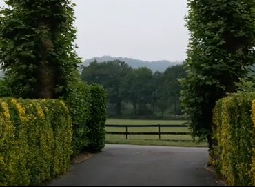 A day at Saint Faust Studs