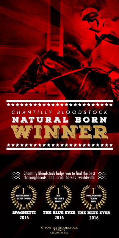 chantilly 2016 spaghetti theblueeyes