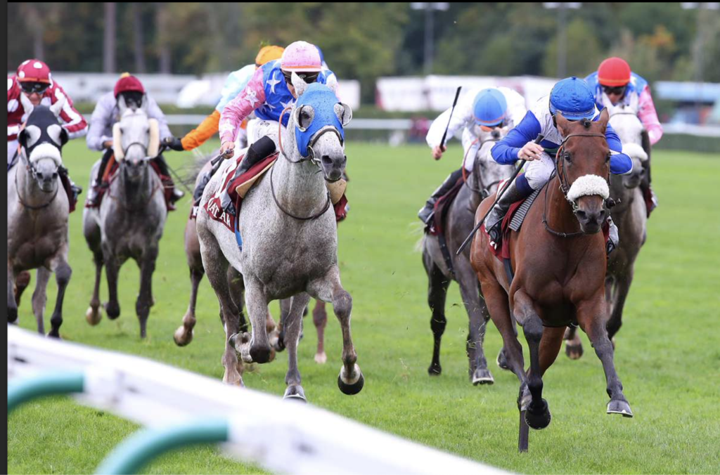 LADY PRINCESS IS ON ANOTHER Chantilly Bloodstock Agency